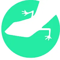 Lizard Global