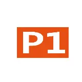 P1 International Sdn Bhd