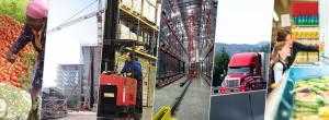NL Cold Chain Network