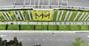 EcoGarden Landscape Sdn Bhd