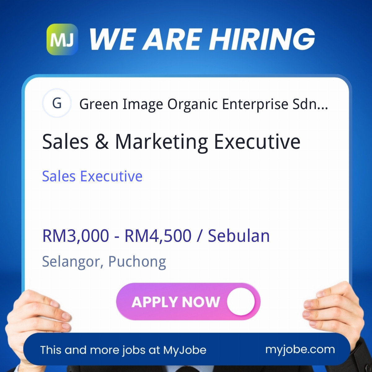 Sales & Marketing Executive