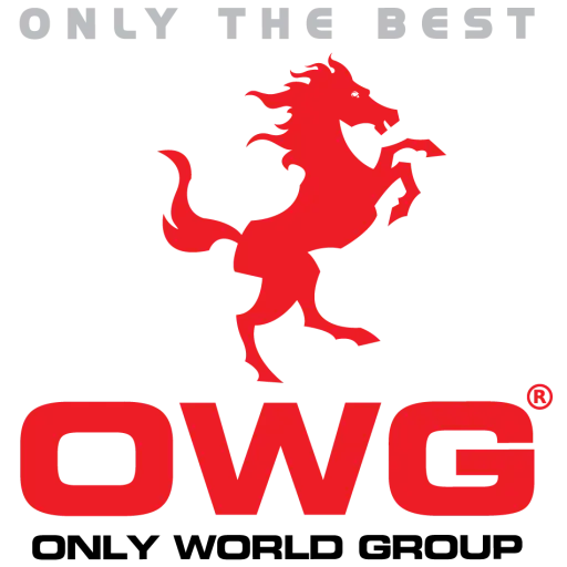 Only World Group
